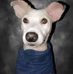 Jacob Parles - Facebook
