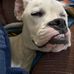 Jacob Parlin - Facebook