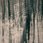 Jacob Parris - @jacobparris_ - Instagram