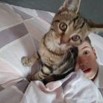 jacob - @jacobparton31 - Instagram