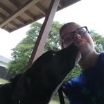 jacob parvin - @jacob_puglife - Instagram