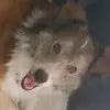 Jacob Patrick - @jacob.patrick - TikTok