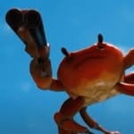 Jacob Patten - @clips_by_krabby - Instagram