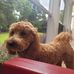 Jacob Patty - Facebook