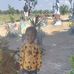 Jacob Panna - Facebook