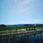jacob Paz - @jacobpaz_spam - Instagram