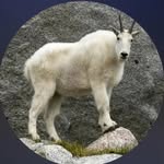 Jacob Pearson - @jacobpearson123 - Instagram