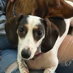 Jacob Pechman - @jacobpechman - Instagram