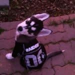 @jacobpech56 - Instagram