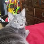 jacob pellman - @jacobpellman - Instagram