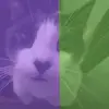 JacobPelletierLeGOAT - @jacobpelletierlegoat - TikTok