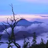 jacob peng - @jacob.peng2 - TikTok