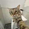 jacobshepp22 - @jacobsheppard22 - TikTok