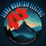 Jacob Perillo - @alohamountainelectric - Instagram