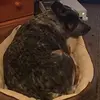 Jacob Persons - @jp.17.21 - TikTok