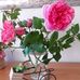 Viviane Jacob Pflaum - Facebook