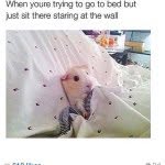 @jacob_phillip - Instagram