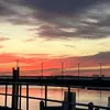 Jacob Phillips - @jacob.phillips231 - TikTok