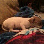 Jacob Pickens - @jacobpick2001 - Instagram