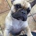 Jacob Pickens - Facebook