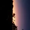 Jacob - @jacob.pickering - TikTok