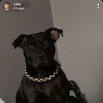 Jacob Pickering - @jacob_pickering123 - Instagram