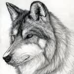 Jacobpinson - @jacobpinson8438 - Instagram