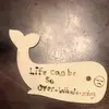 Jacob Piotrowski - @jacobo.p15 - TikTok