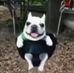 John Jacob Paitone - Facebook