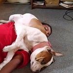 Jacob Pitcher - @pitcherjacob - Instagram