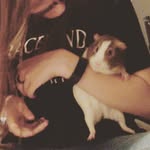 Jacob L. Plank - @jacobl.plank - Instagram