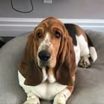 Jack - @jacob.plourde2009 - Instagram