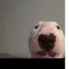 Jacob Porte - @jacob_porte - TikTok