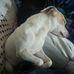 Jacob Powers - Facebook