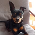 Jacob Prechtl - @jacobprechtl - Instagram
