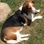 Jacob Pridemore - Facebook