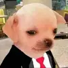 Jacob Prieto - @jacobprieto16 - TikTok