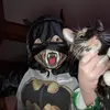 jacob pritt - @jacobpritt1 - TikTok