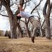 Jake Probst - Facebook