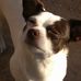 Jake Probst - Facebook
