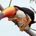 Jacob Prokop - Facebook