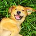 Jacob Puente - Facebook