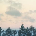 Jacob Pugach - @jacob_pugach - Instagram