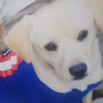 Jacob Quezada - @quasudilla - Instagram