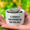 Jacob Quezada - @jacob.quezada46 - TikTok