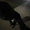 Jacob - @quick.limit_jacob - TikTok