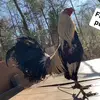 Jacob Ramey - @jacobramey80 - TikTok