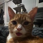 Jacob Ramey - @jaceraey - Instagram