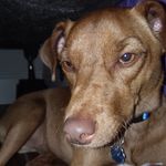 Jacob Ramey - @killzone081397 - Instagram