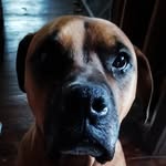 Jacob redmond - @jacobredmond71 - Instagram